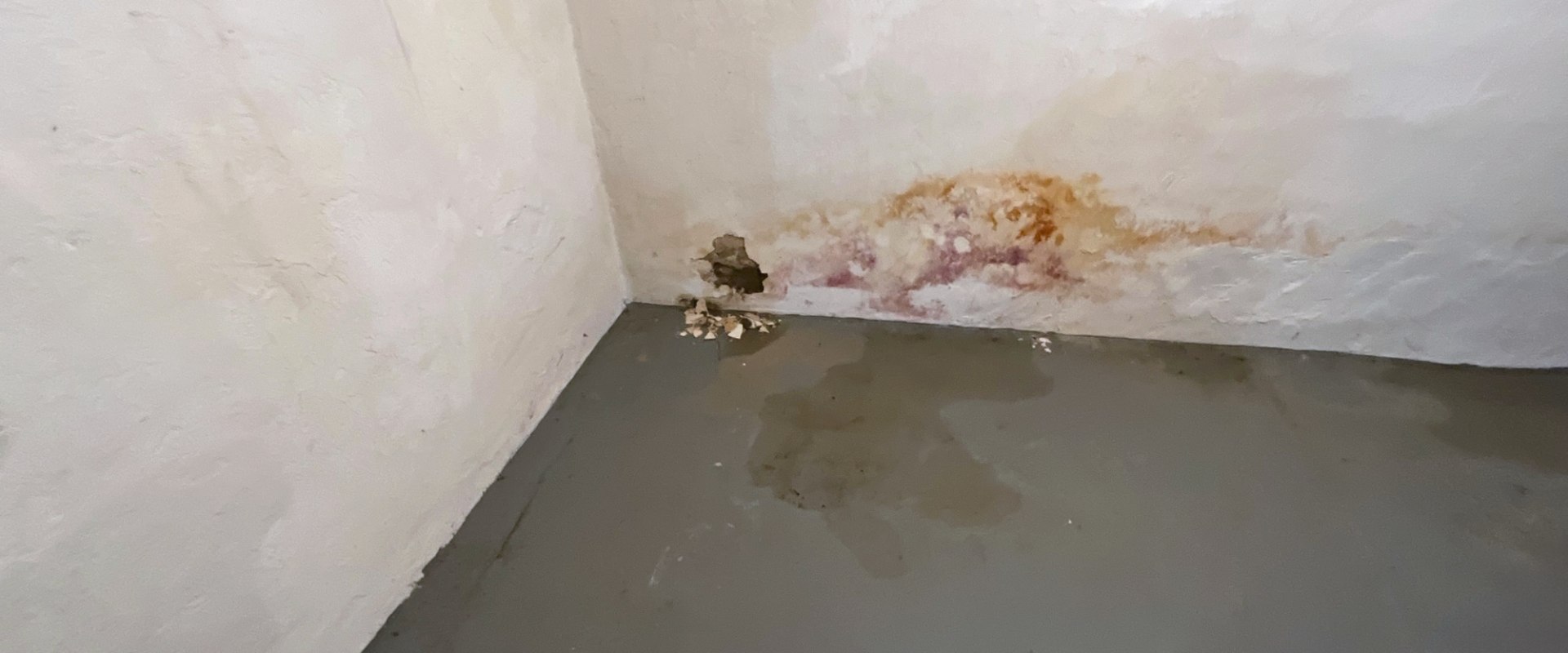 Furnace Repair Issues Caused By Basement Floods And Sewage Backups In Seattle, WA
